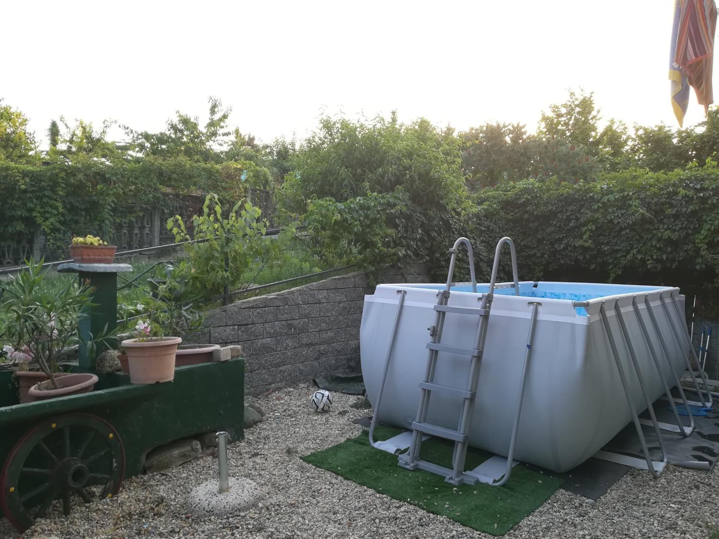 An outdoor swimming pool with a ladder, surrounded by potted plants and a stone wall.