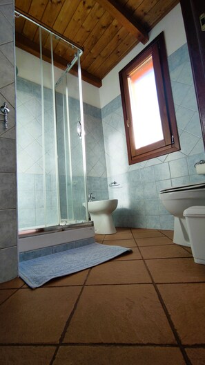 A bathroom with a shower, sink, and toilet. - La Grotta Delle Fate (Ossi)