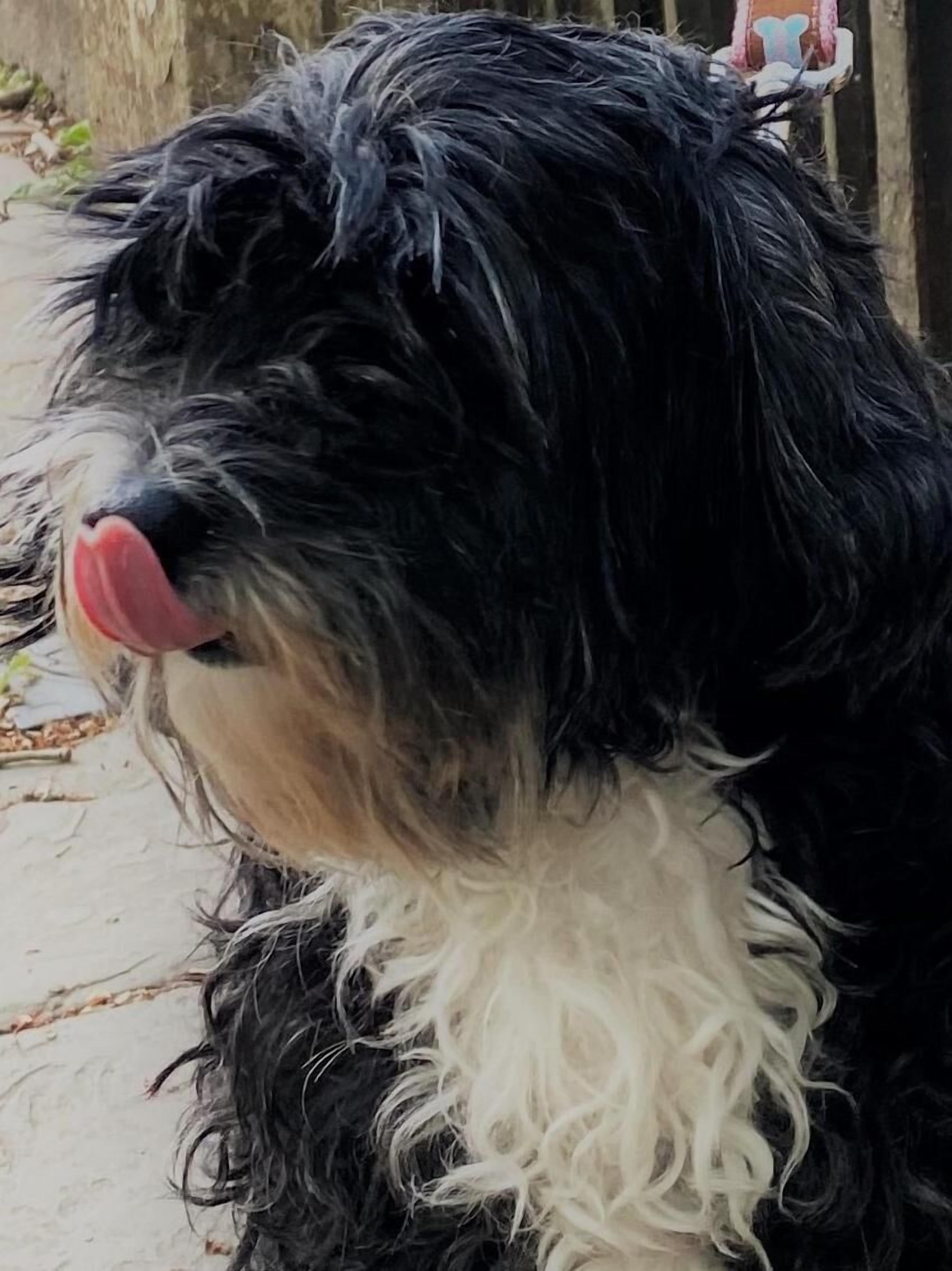 Foto - Embassie Backpackers