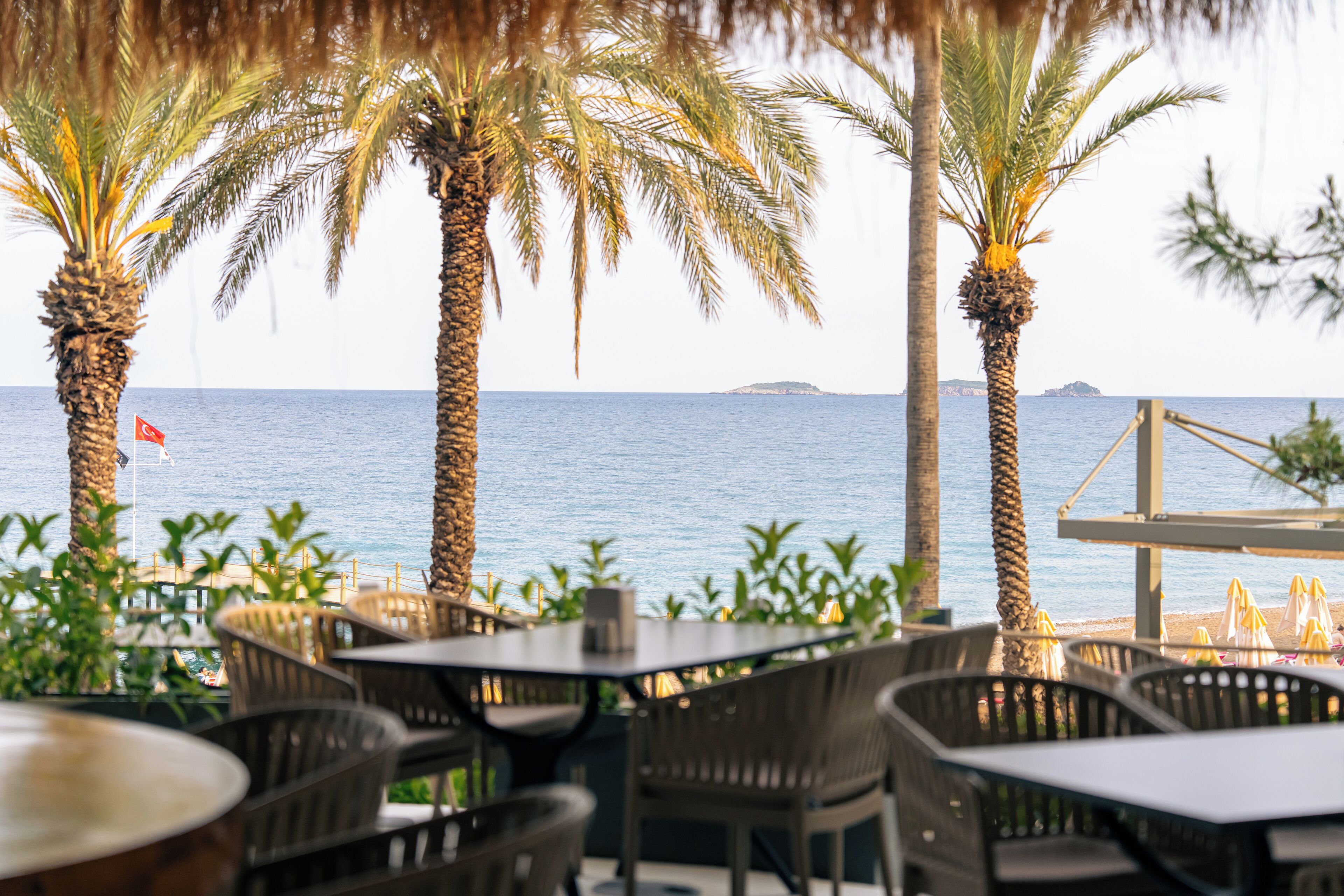 Beach bar