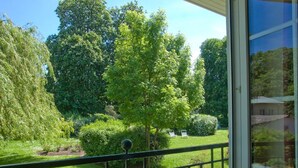 A garden with a variety of trees and shrubs, a lawn, and a metal railing. - FerienResidenz MüritzPark (Röbel/Müritz)