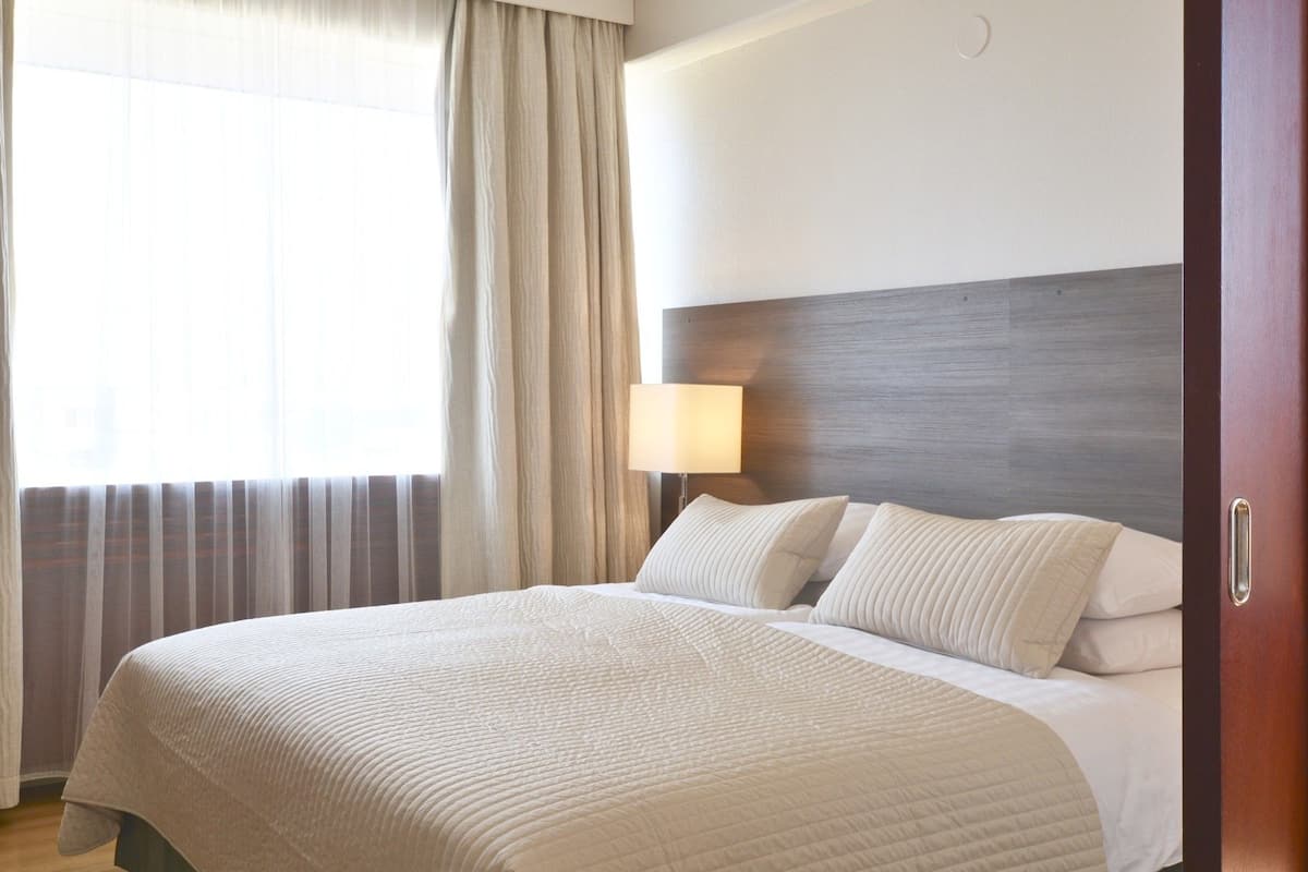 Junior Suite, 1 King Bed with Sofa bed, Non Smoking, Sauna | 1 bedroom, desk, laptop workspace, blackout drapes