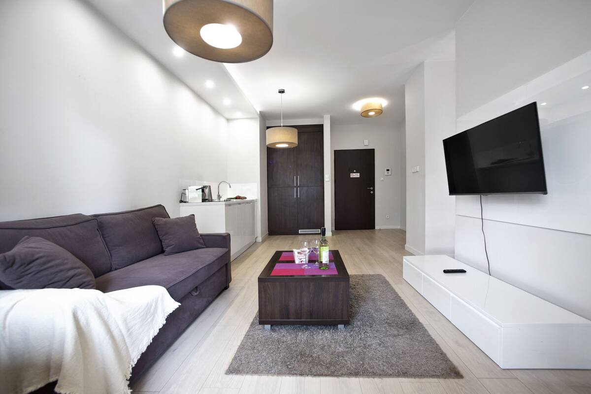 Standard Apartment | Living room | 40-inch flat-screen TV with cable channels, TV