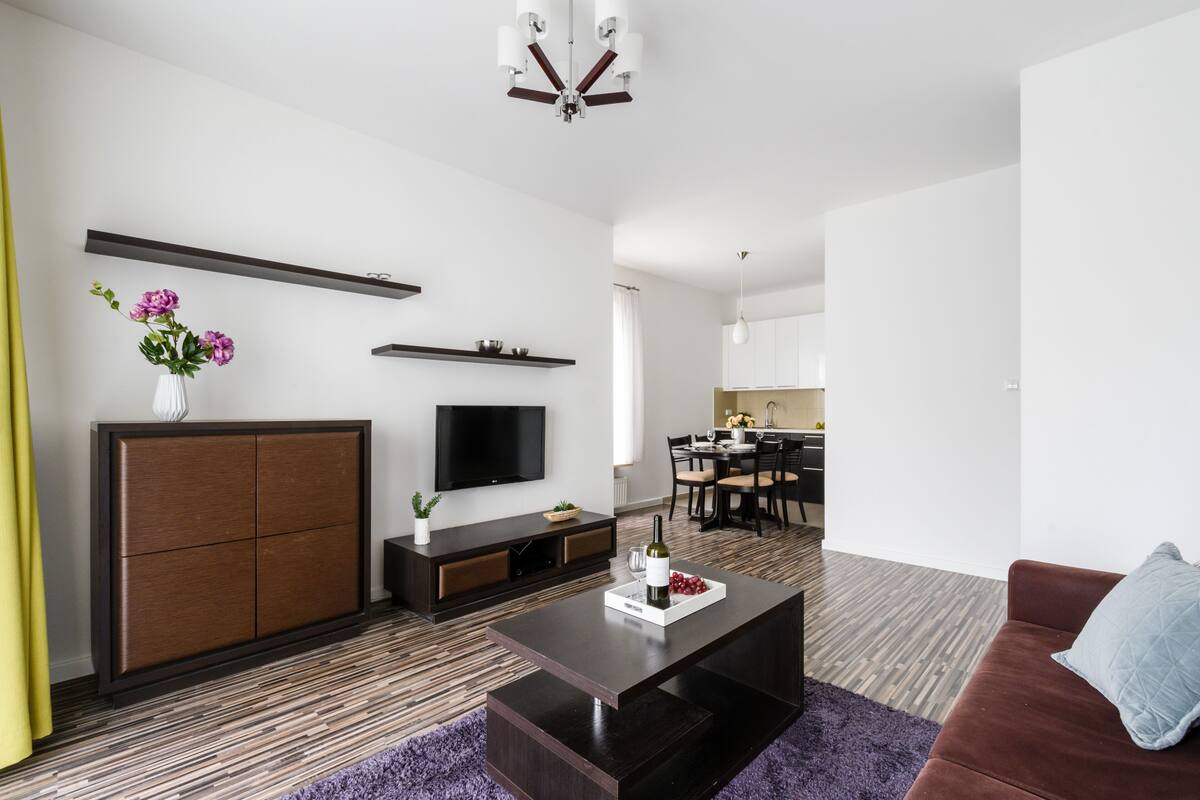 Economy Apartment | Living area | 40-inch flat-screen TV with cable channels, TV
