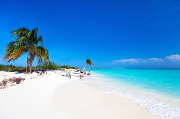 Nära stranden, vit sandstrand och transport till/från stranden