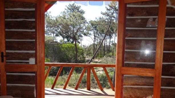 A wooden deck with a railing, a bed with a patterned bedspread, and a view of trees and shrubs. - Refugio Familiar (La Paloma)