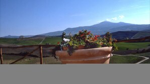 View from property - Agriturismo Moggiaglie (Pienza)