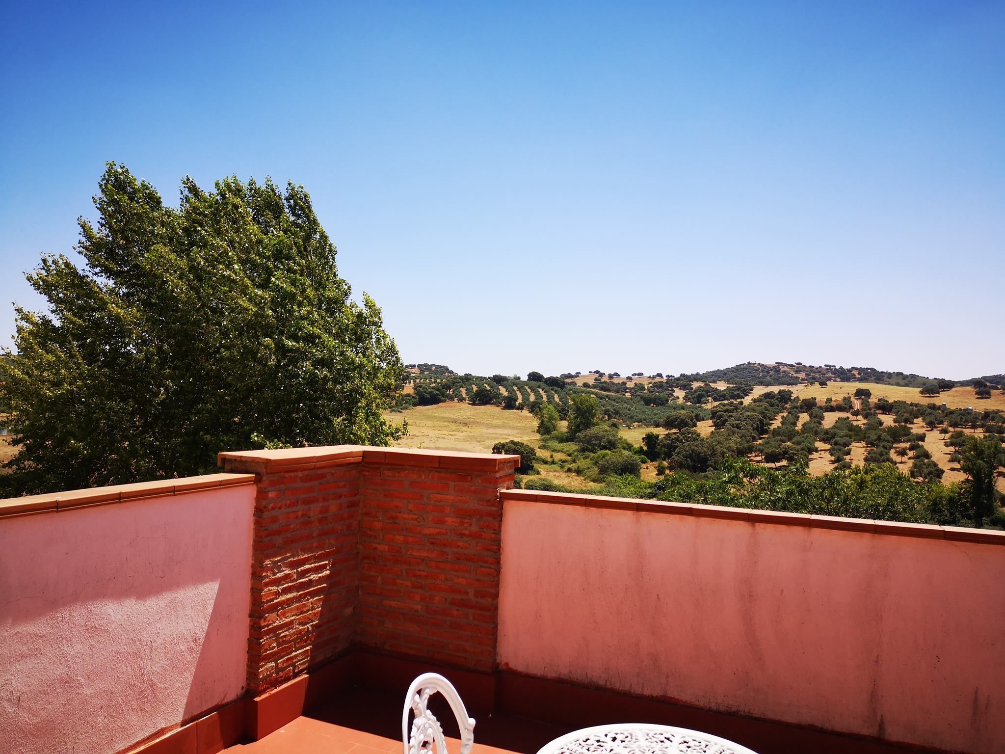 Foto - Hotel Alfonso VIII