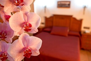 Coffres-forts dans les chambres, bureau, chambres insonorisées