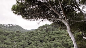 A pool area with lounge chairs and umbrellas, surrounded by a mountainous landscape. - Apartaments Cap Sa Sal (Begur)