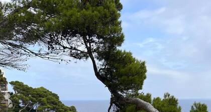 Apartaments Cap Sa Sal