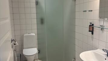 A bathroom with a toilet, a glass shower enclosure, and a sink with a mirror above it.