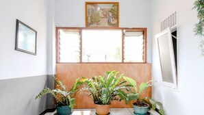 Un pasillo con plantas en macetas, un cuadro enmarcado y una ventana con persianas.