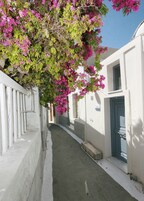 Detalle del exterior