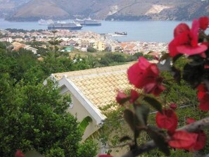 View from room - Studios Rania (Kefalonia)