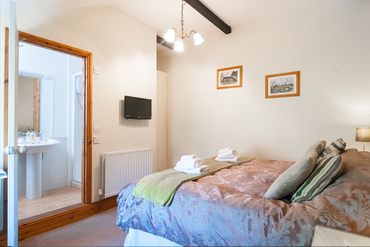Une chambre à coucher comprenant un lit, un téléviseur, un radiateur et une porte donnant sur une salle de bain.