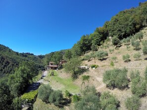 A hillside property with a pathway leading to a building. - Agriturismo Le Scope (Molazzana)