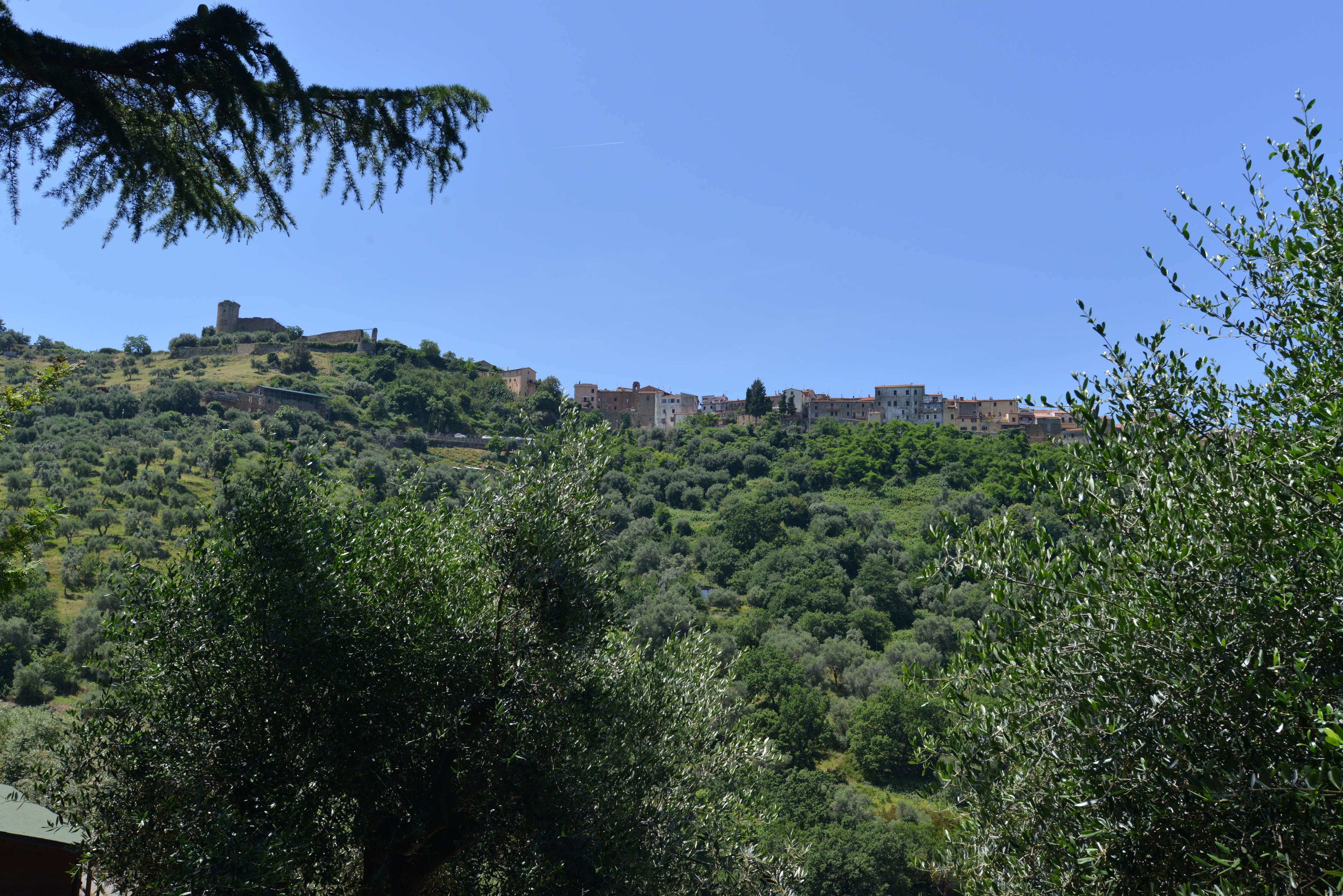 A hillside with a castle-like structure and buildings.