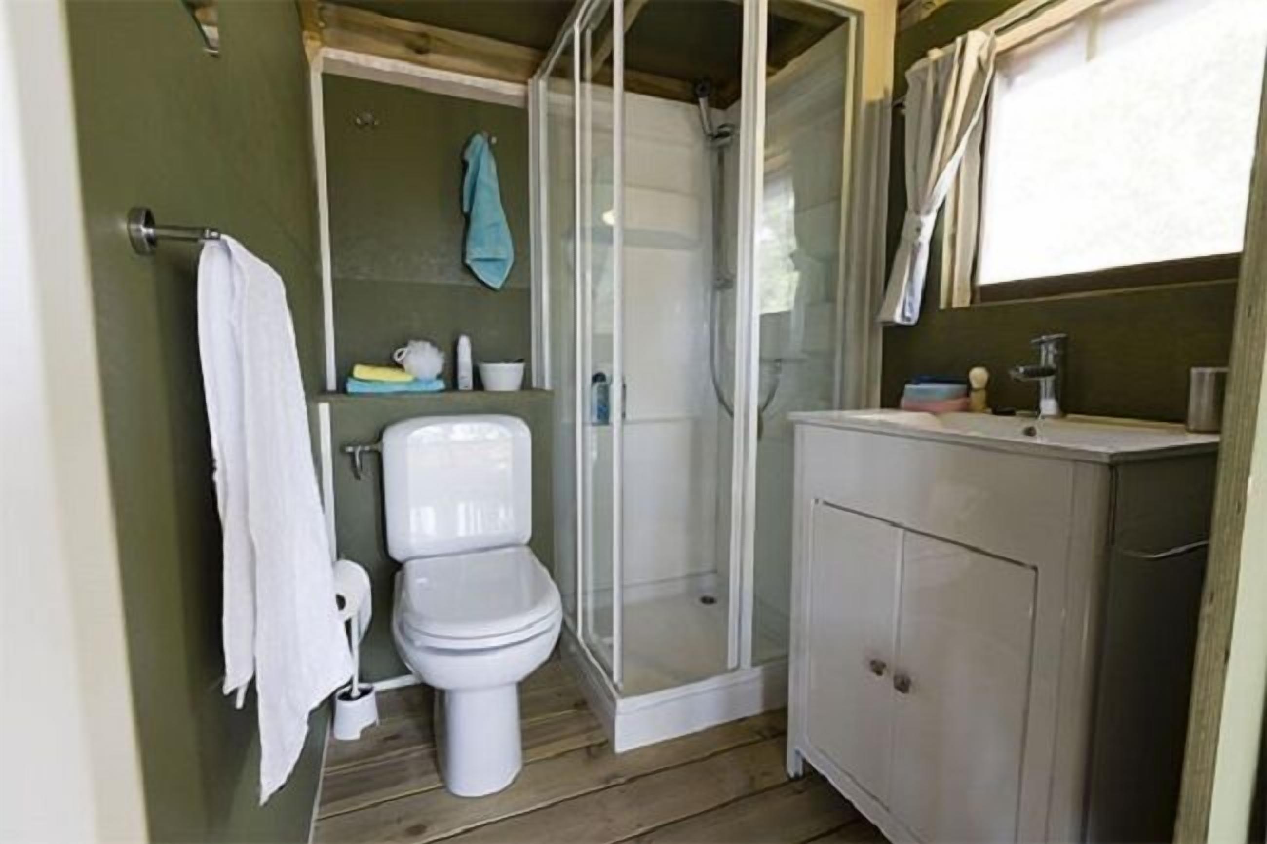 A compact bathroom with a toilet, a shower enclosure, and a sink.