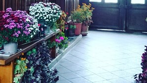 A hallway with a tiled floor, wooden doors, and potted plants.