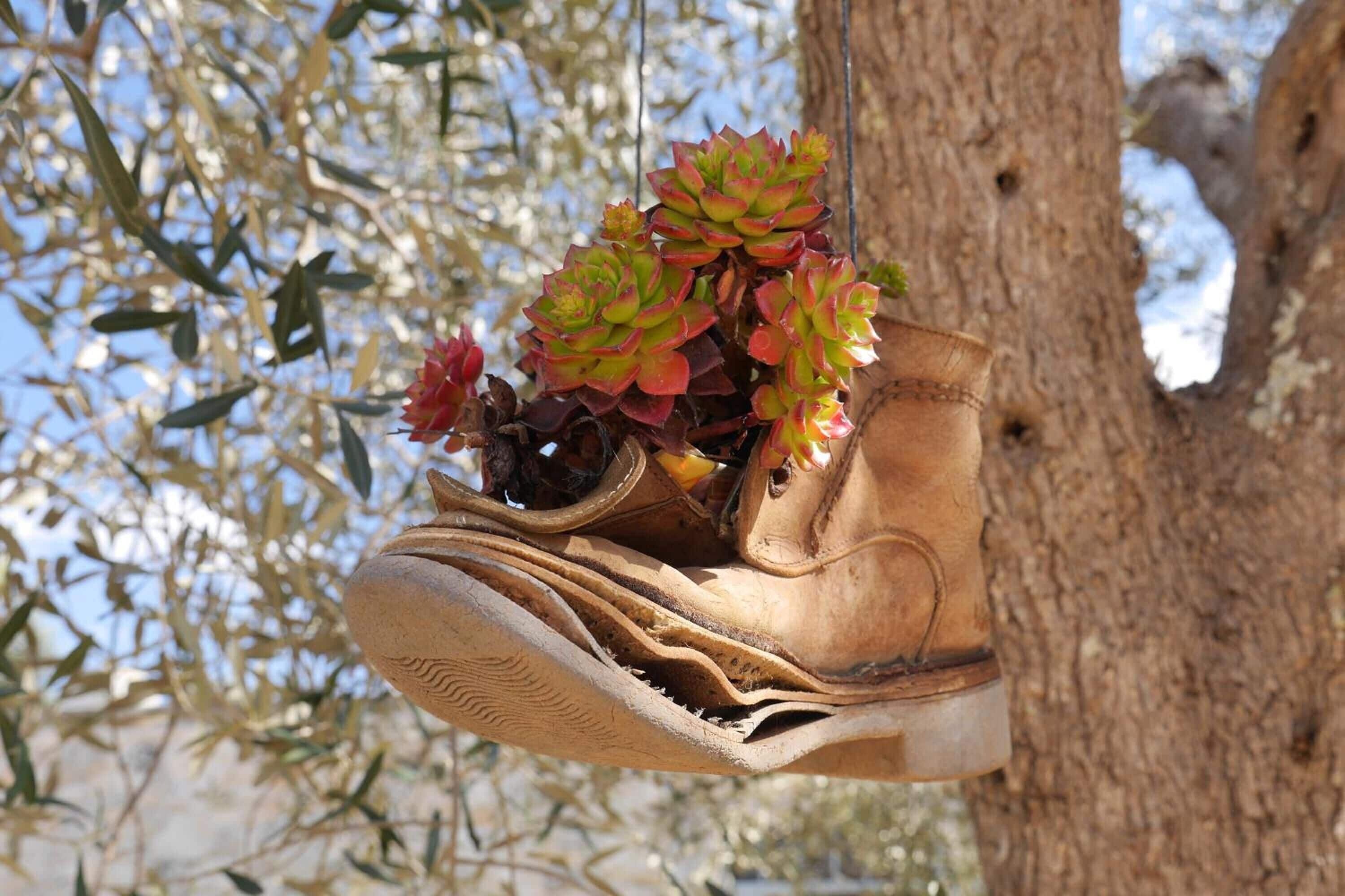 Photo - Trulli Barsento