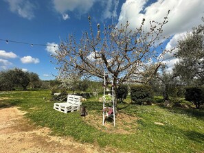 Exterior - Trulli Barsento (Alberobello)