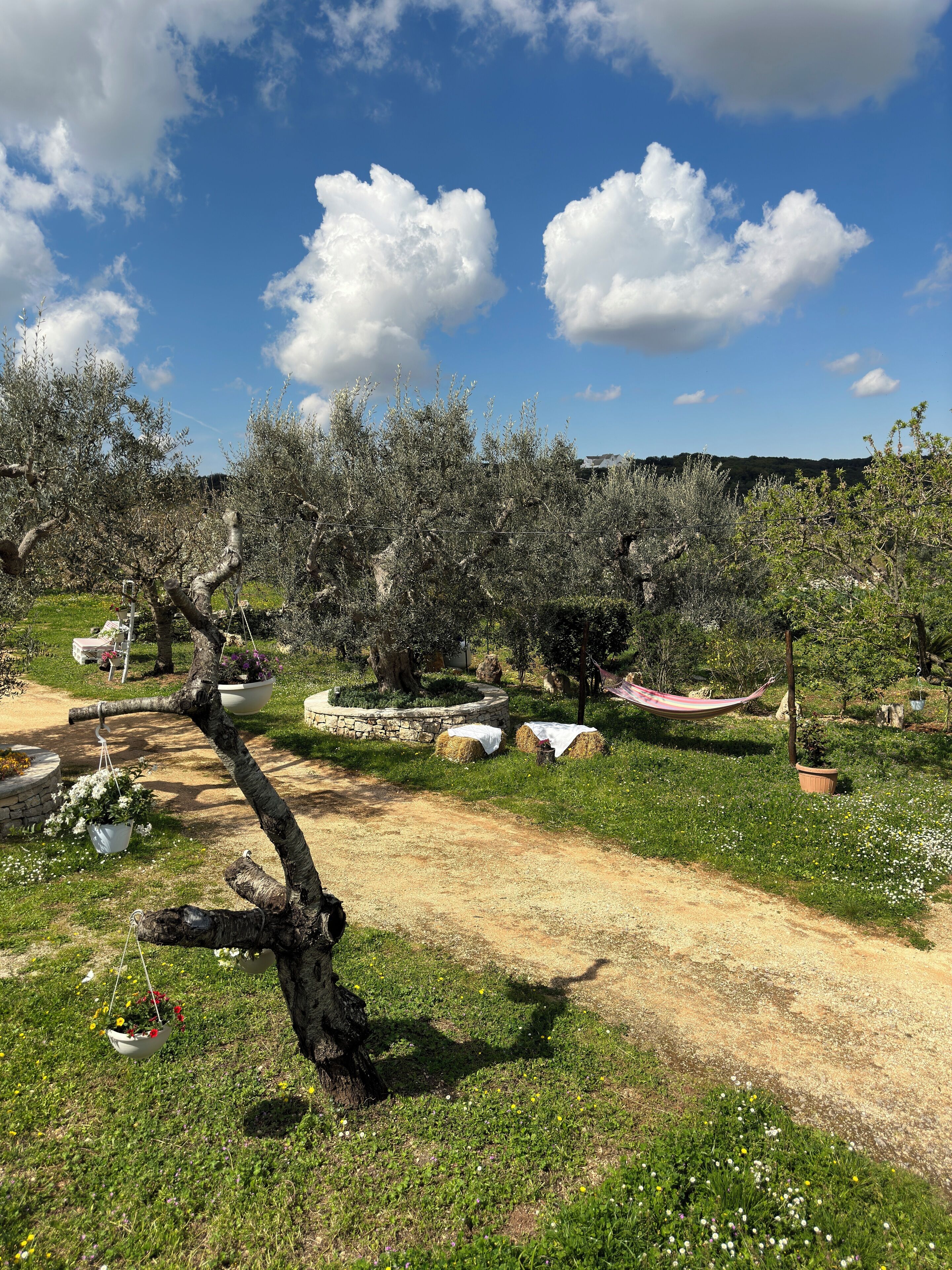 Photo - Trulli Barsento