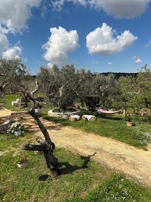 Exterior - Trulli Barsento (Alberobello)
