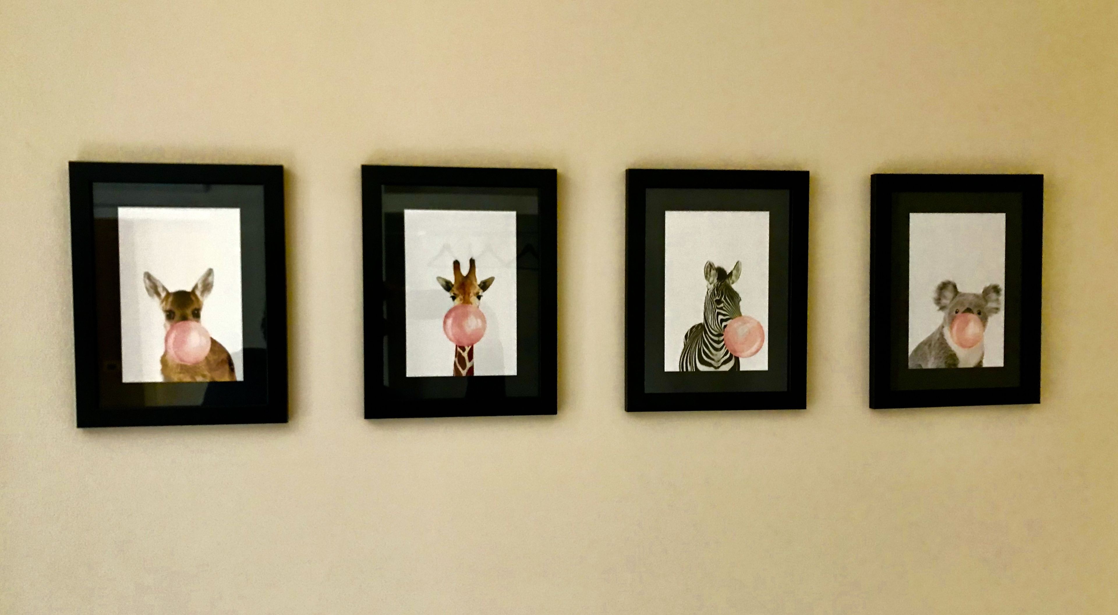 Quatre tableaux représentant des animaux, encadrés et accrochés au mur.