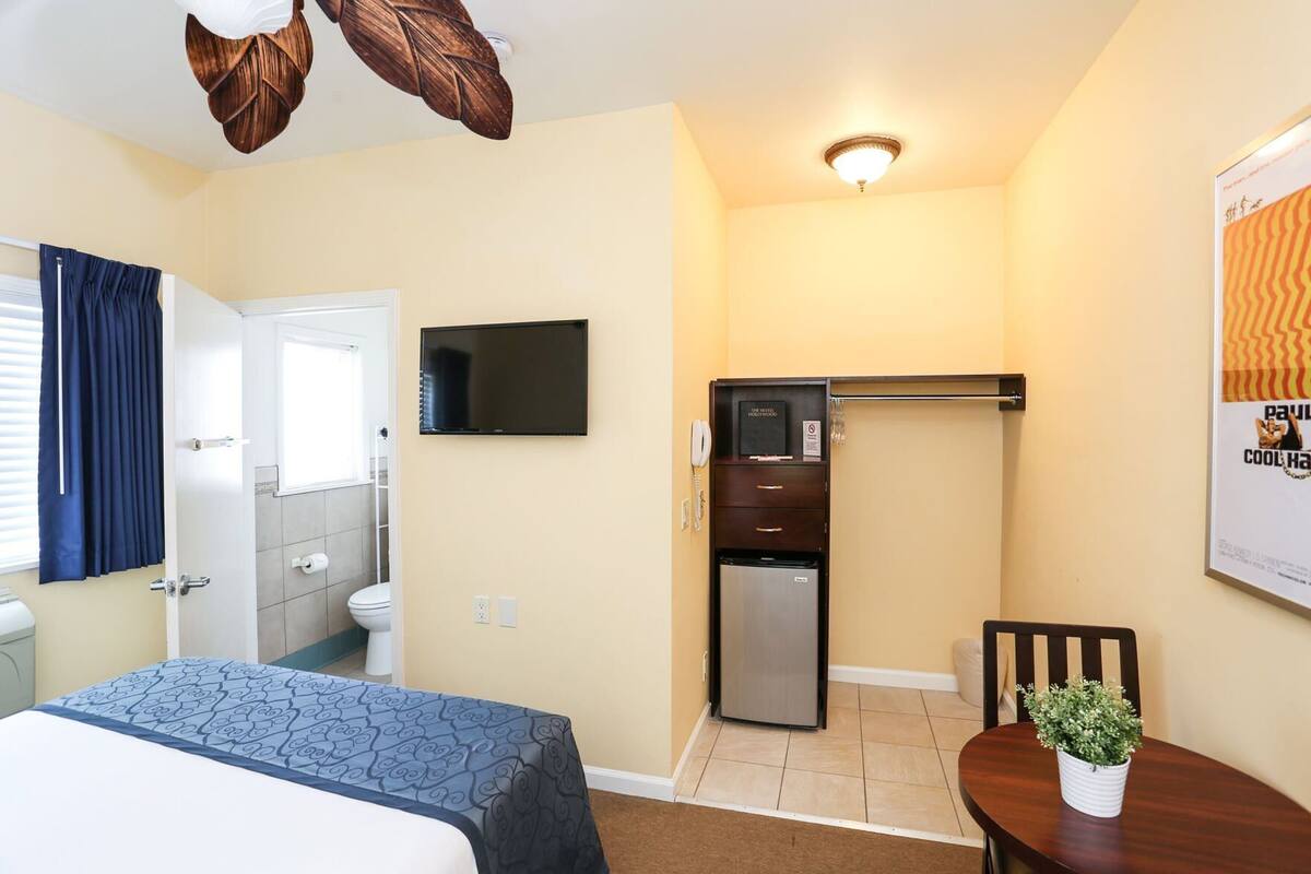 A hotel room with a bed, a TV, a refrigerator, a small table with a plant, and a bathroom visible through an open door.