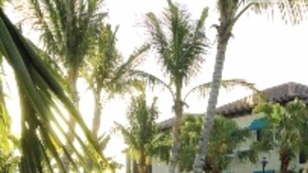 House | Natural pool | Outdoor pool - Beautiful Decor at an Amazing Resort Holiday home 2 BestStayz.1 (Naples)