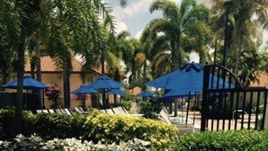 Apartment | Property grounds - The Art of Modern  Living - Oversized Condo Apartment 3 BestStayz.1 (Naples)
