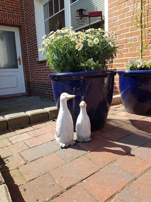 Unclassified image, 3 of 13, button