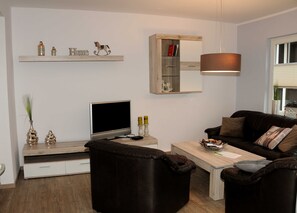 Fernseher