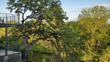 A riverside park with a viewing platform and a large tree.