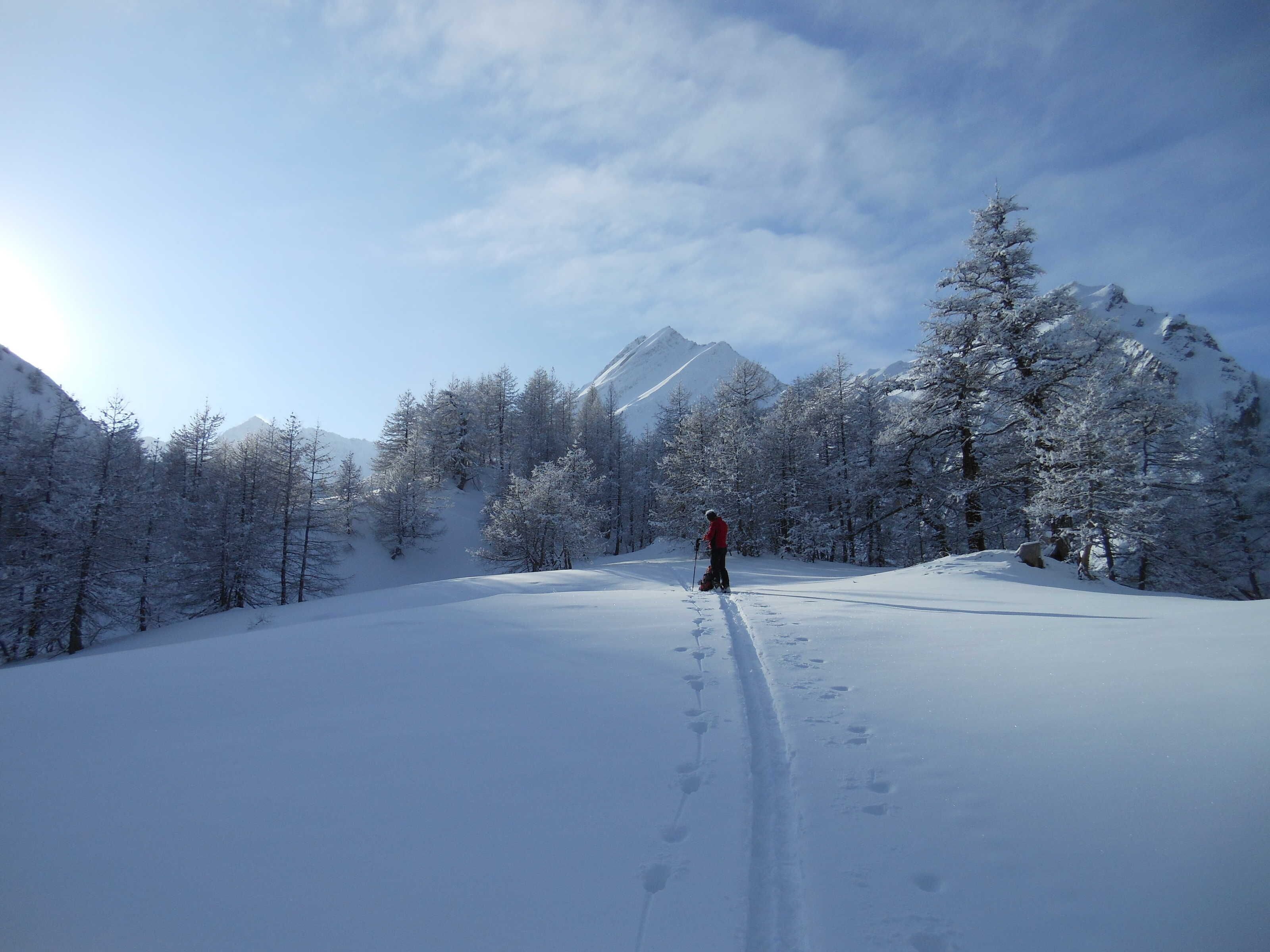 Schneelandschaft mit einem einzelnen Skifahrer in der Ferne, umgeben von schneebedeckten Bäumen und Bergen.