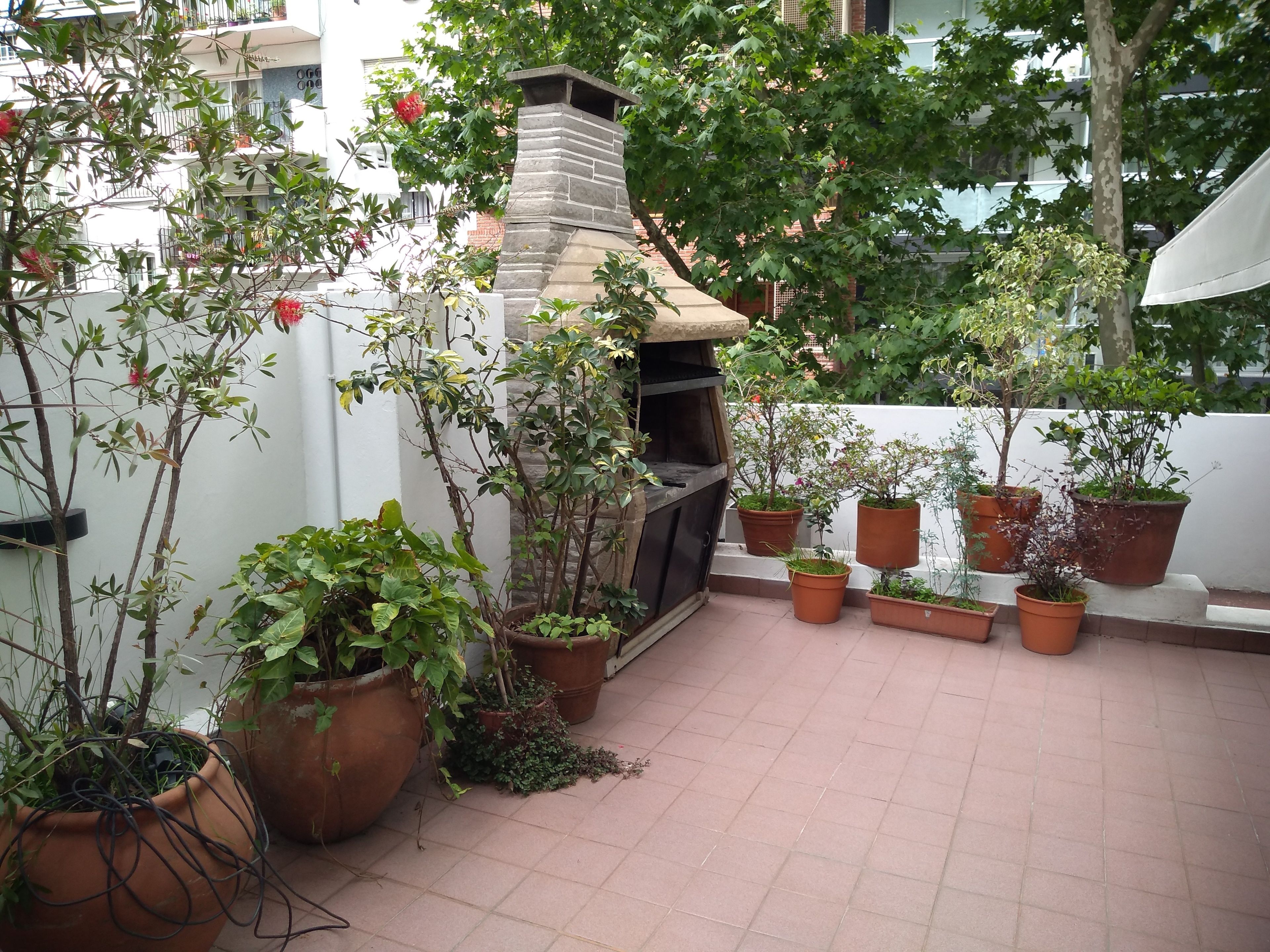 Foto - Palermo 3 Habitaciones privadas