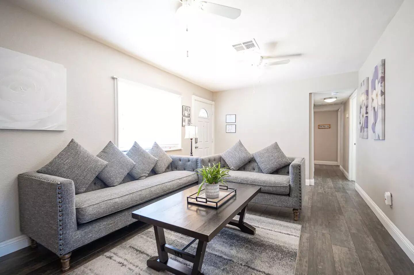 A living room with a grey sofa, a wooden coffee table, and a potted plant.