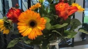 A clear view of a flower arrangement in a glass vase on a table.