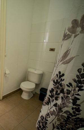 Shower, hair dryer