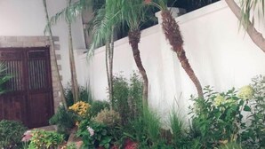 A courtyard with a white wall, palm trees, and various plants. - Xiamen·Lange Courtyard Garden Villa Guesthouse (Zhongshan Road Pedestrian Street Branch) (XIAMEN)