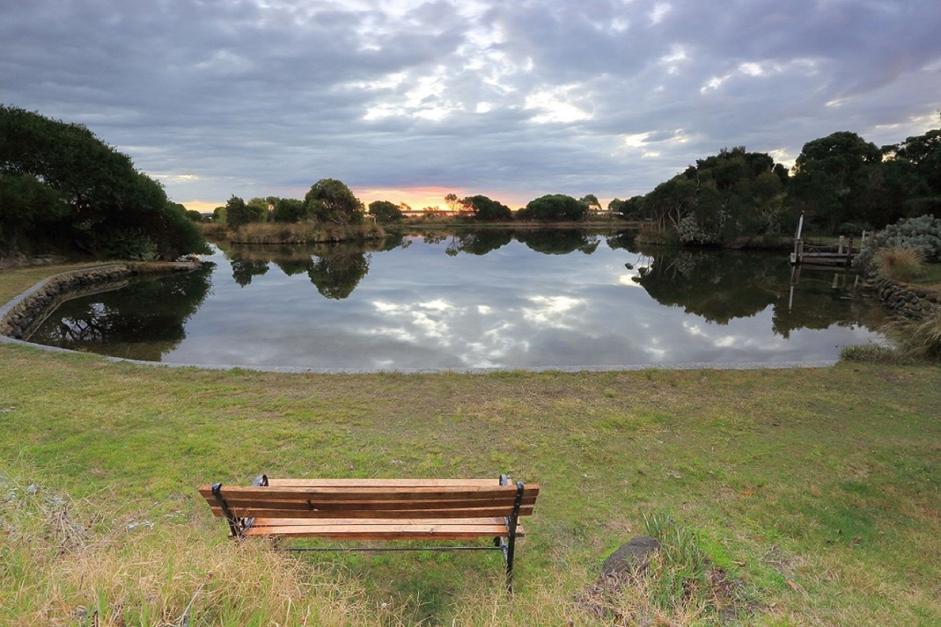 A bench in a park with a calm lake and trees in the background.