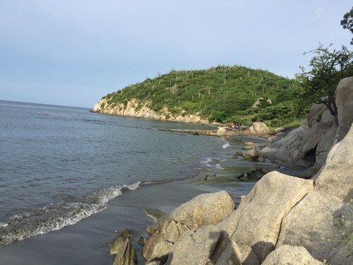 Ricaurte Peñalisa Apt 4401 NF