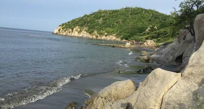 Ricaurte Peñalisa Apt 4401 NF