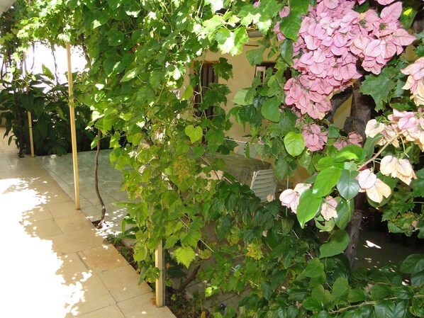 Property grounds - Holiday apartment with balcony 300 m from the beach (Primošten)