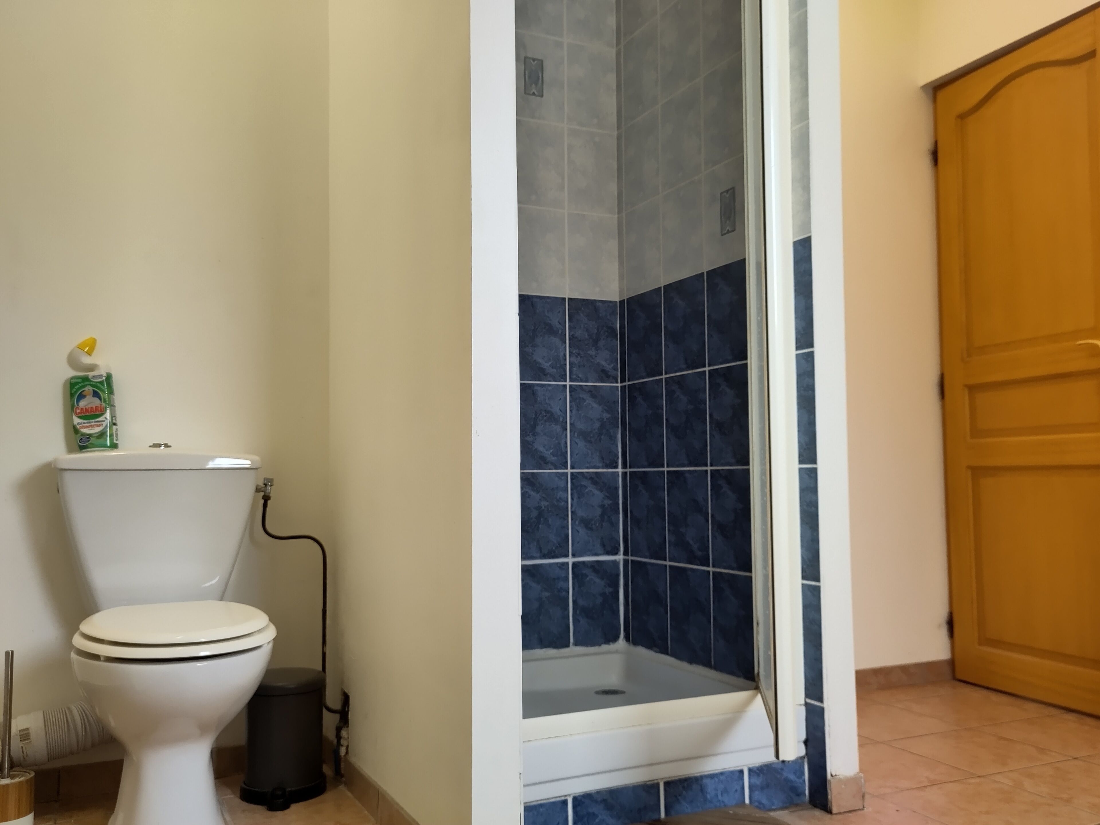 A bathroom with a toilet, a shower with blue tiles, and a wooden door.