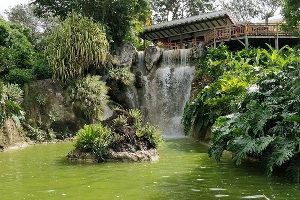 Jardin Botanique à Deshaies