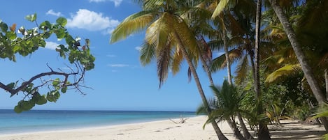 Beach nearby, beach towels