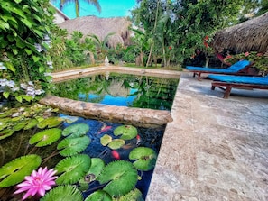 Natural pool - Casa Picaflor (Las Terrenas)