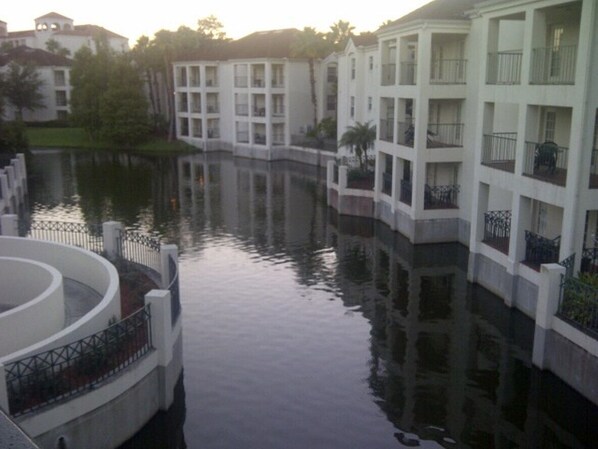 Property grounds - THANKSGIVING at DISNEY * Wyndham Star Island * 1 Bdrm Condo * Sleeps 4 (Kissimmee)